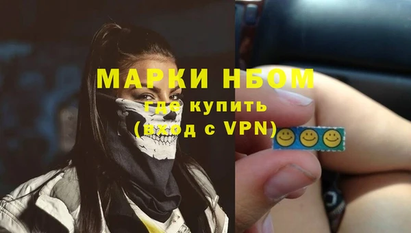 прущие грибы Алзамай