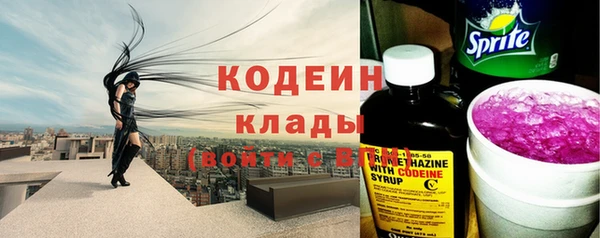 индика Аркадак