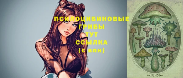 каннабис Арсеньев