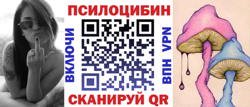 Галлюциногенные грибы Psilocybine cubensis  Чернушка 