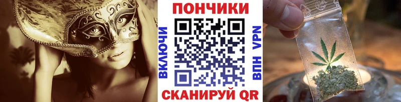 Конопля OG Kush  Чернушка 